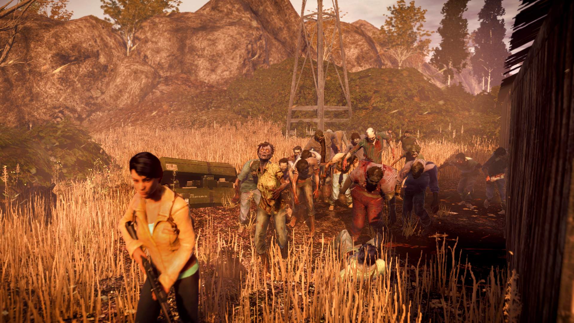 State of Decay: Year-One Survival Edition